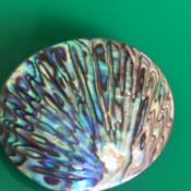 Sterling Silver & Carved Paua Shell Brooch