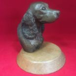 Vintage Carved Hardwood head bust of a dog - possibly an Irish or Red Setter