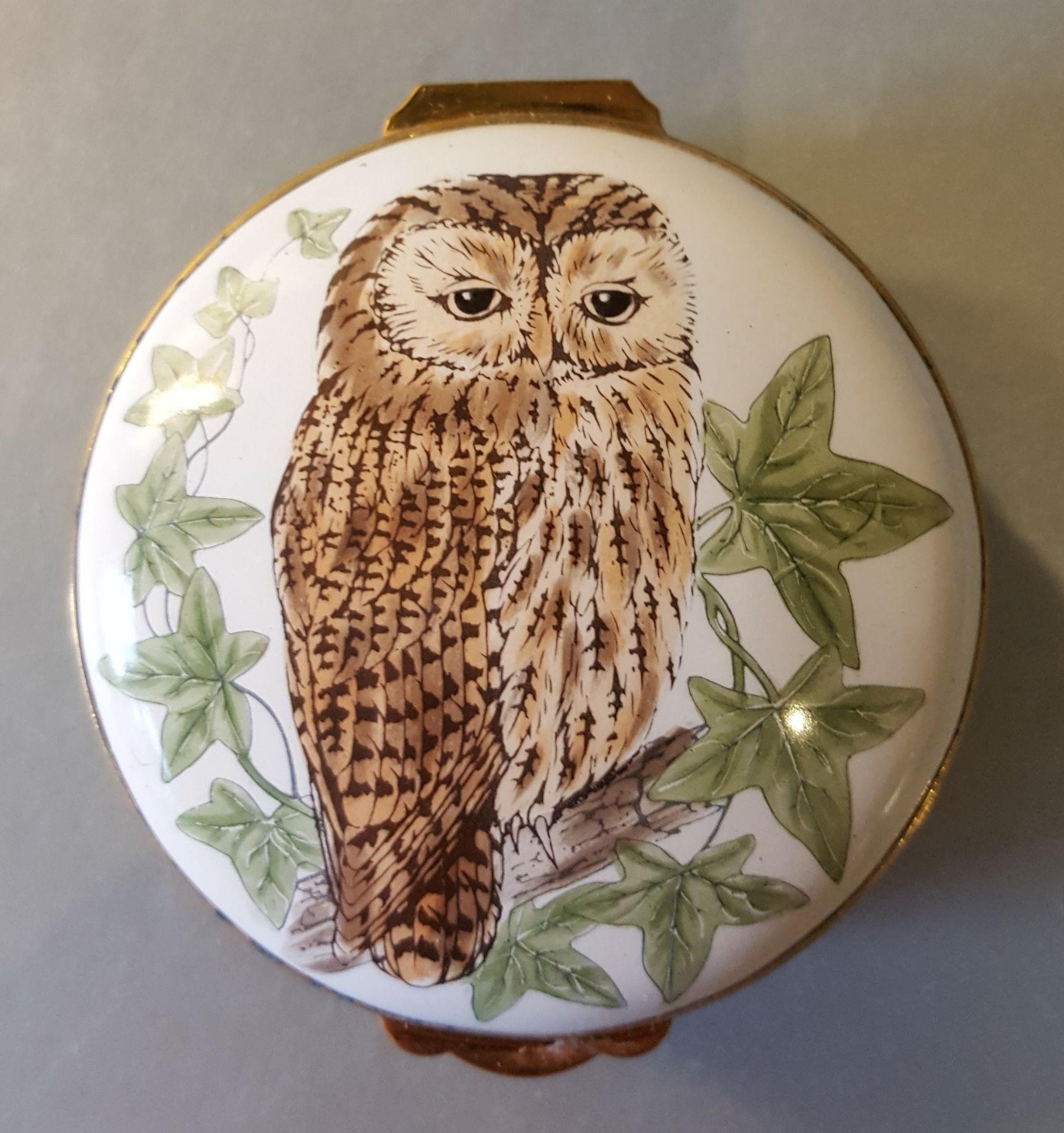 Vintage Retro Crummles English Enamels Country Life Owl Pill Box