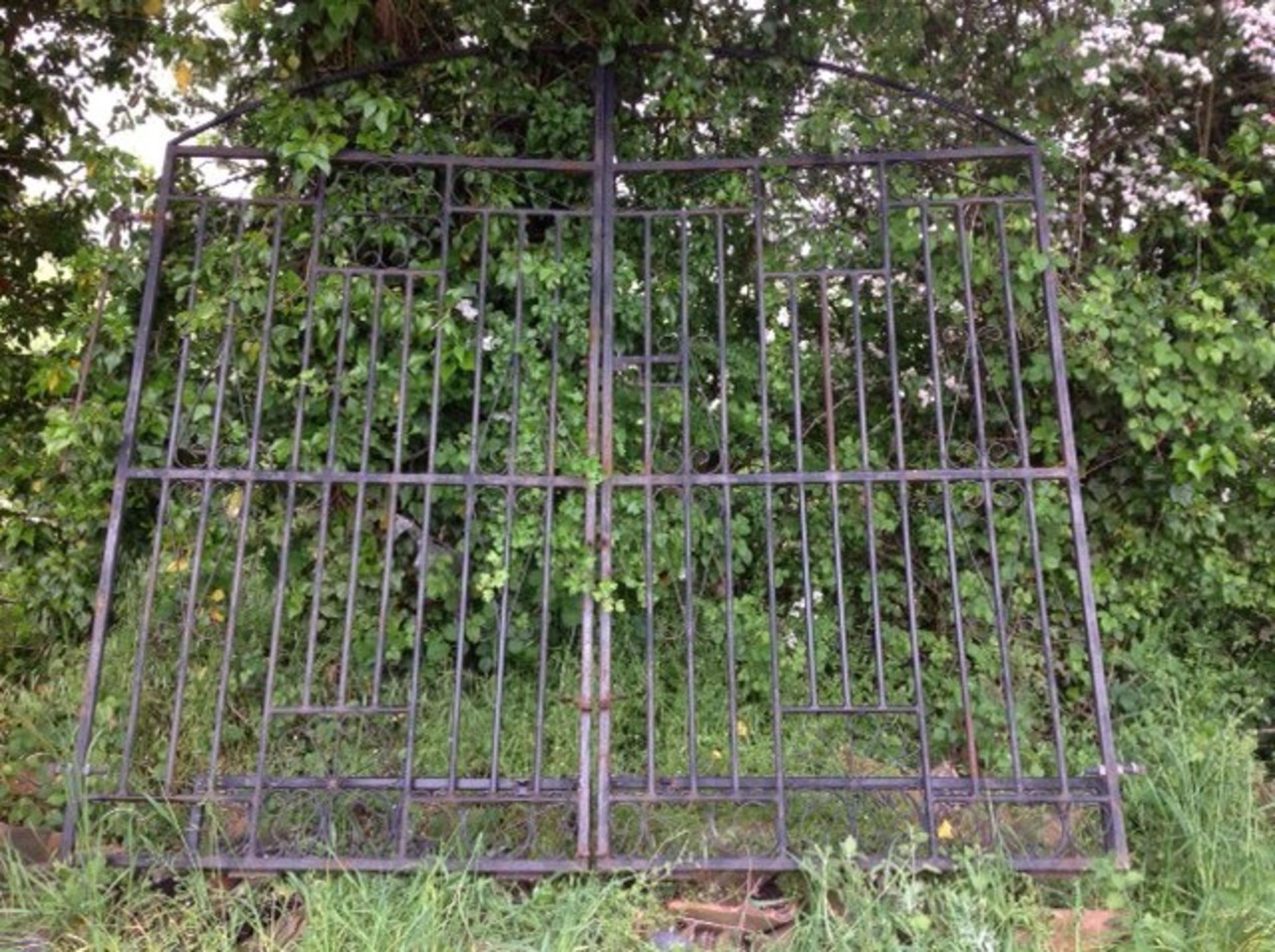 Pair of ornate entrance gates. Arched top with decorative scroll design.H7ft x W7.5ft. Located in