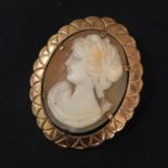 Carved Shell Cameo Brooch / Pendant with 9ct Gold Mount - Birmingham Hallmarks