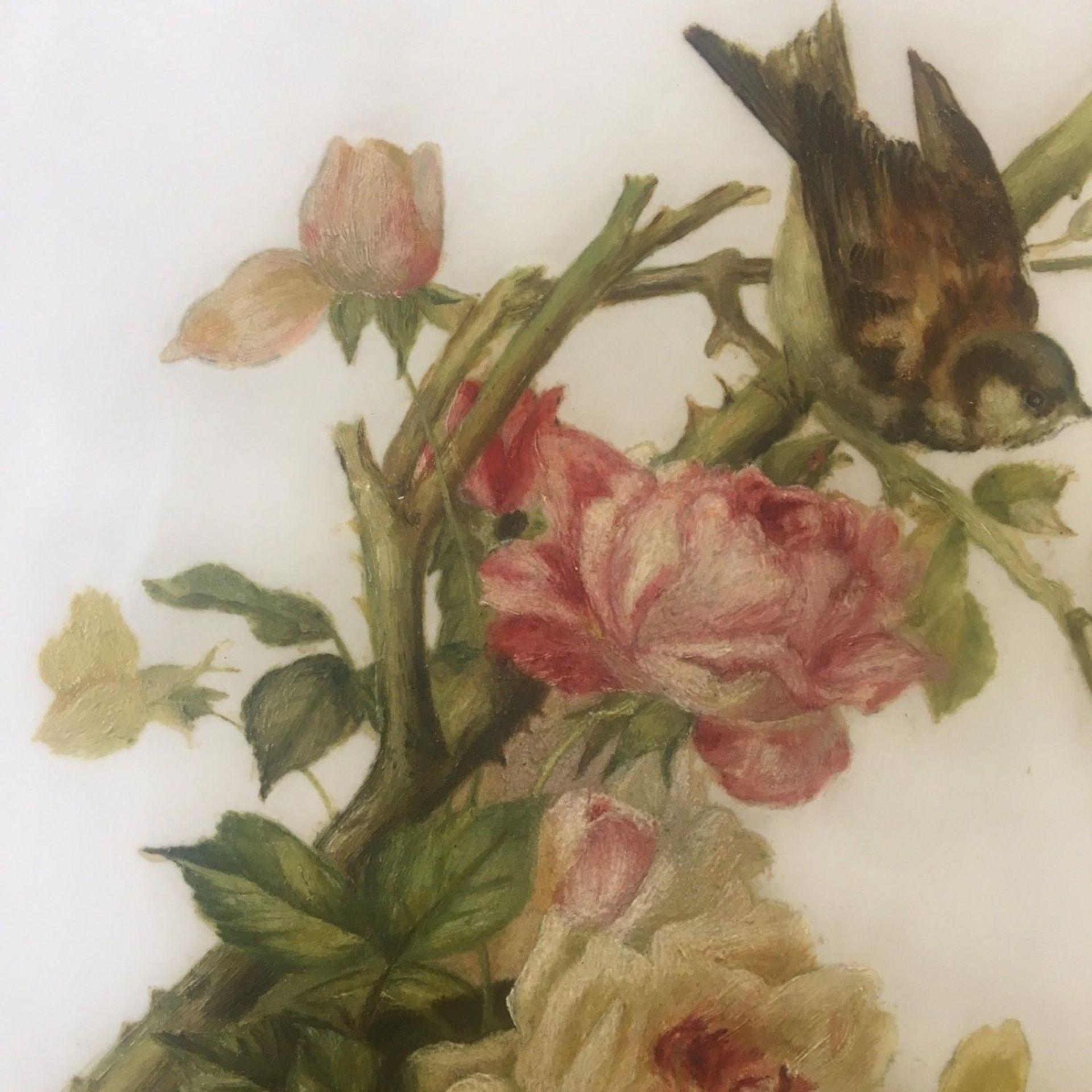 Early 20th Century, (British School), study of birds amongst roses, oils on opaline glass. - Image 4 of 7