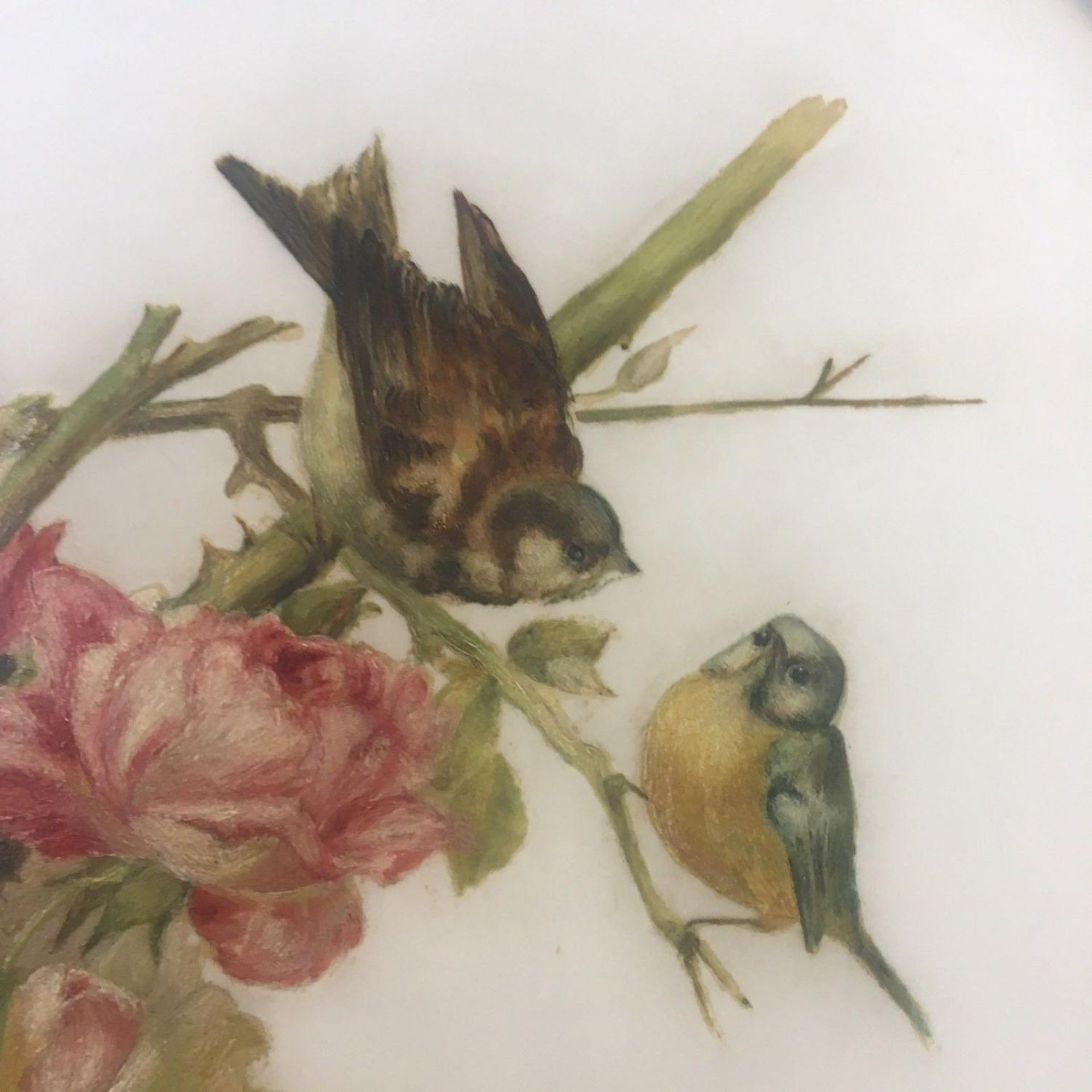 Early 20th Century, (British School), study of birds amongst roses, oils on opaline glass. - Image 2 of 7
