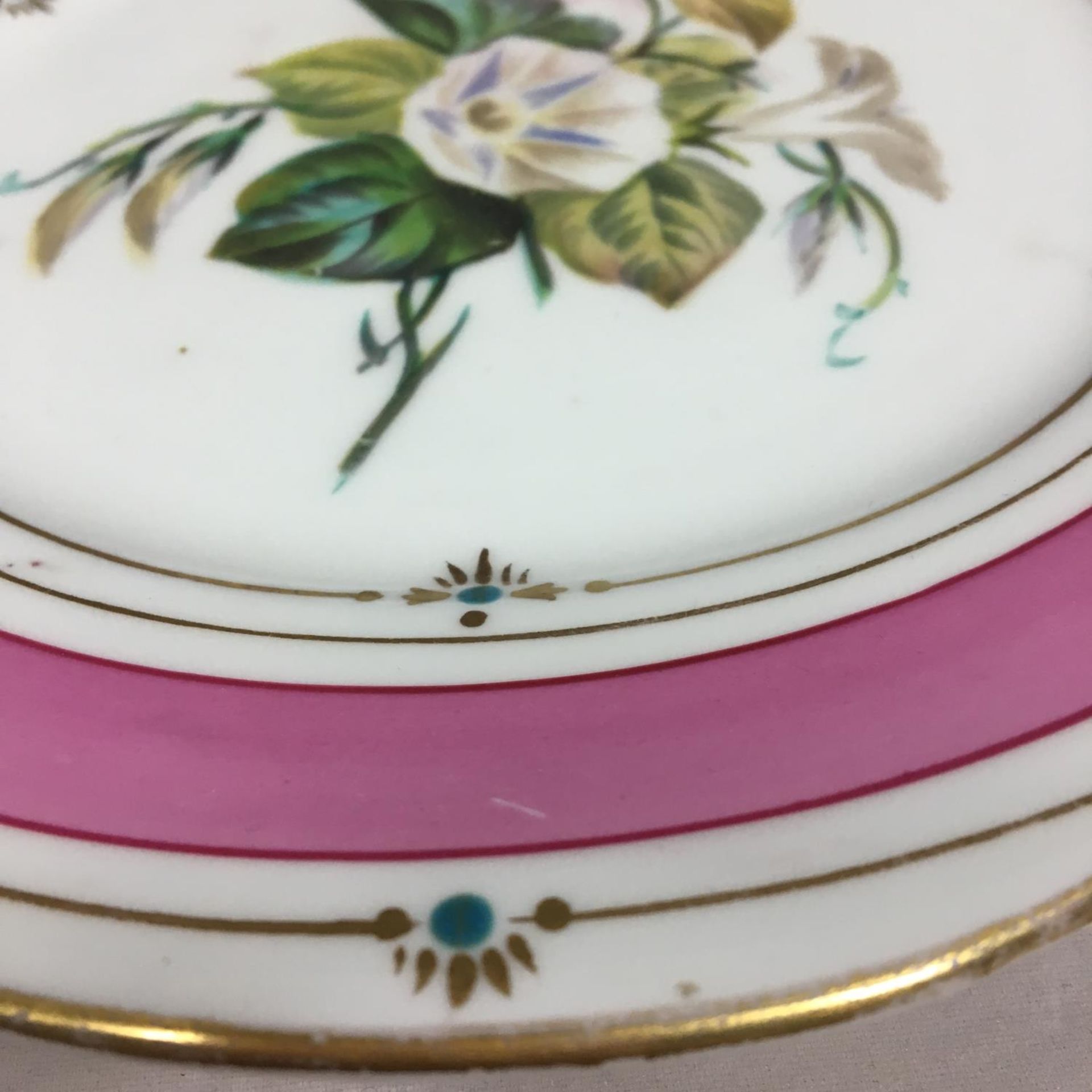 Pair of 19th Century hand painted porcelain cabinet plates flowers R G Scrivener - Image 4 of 4