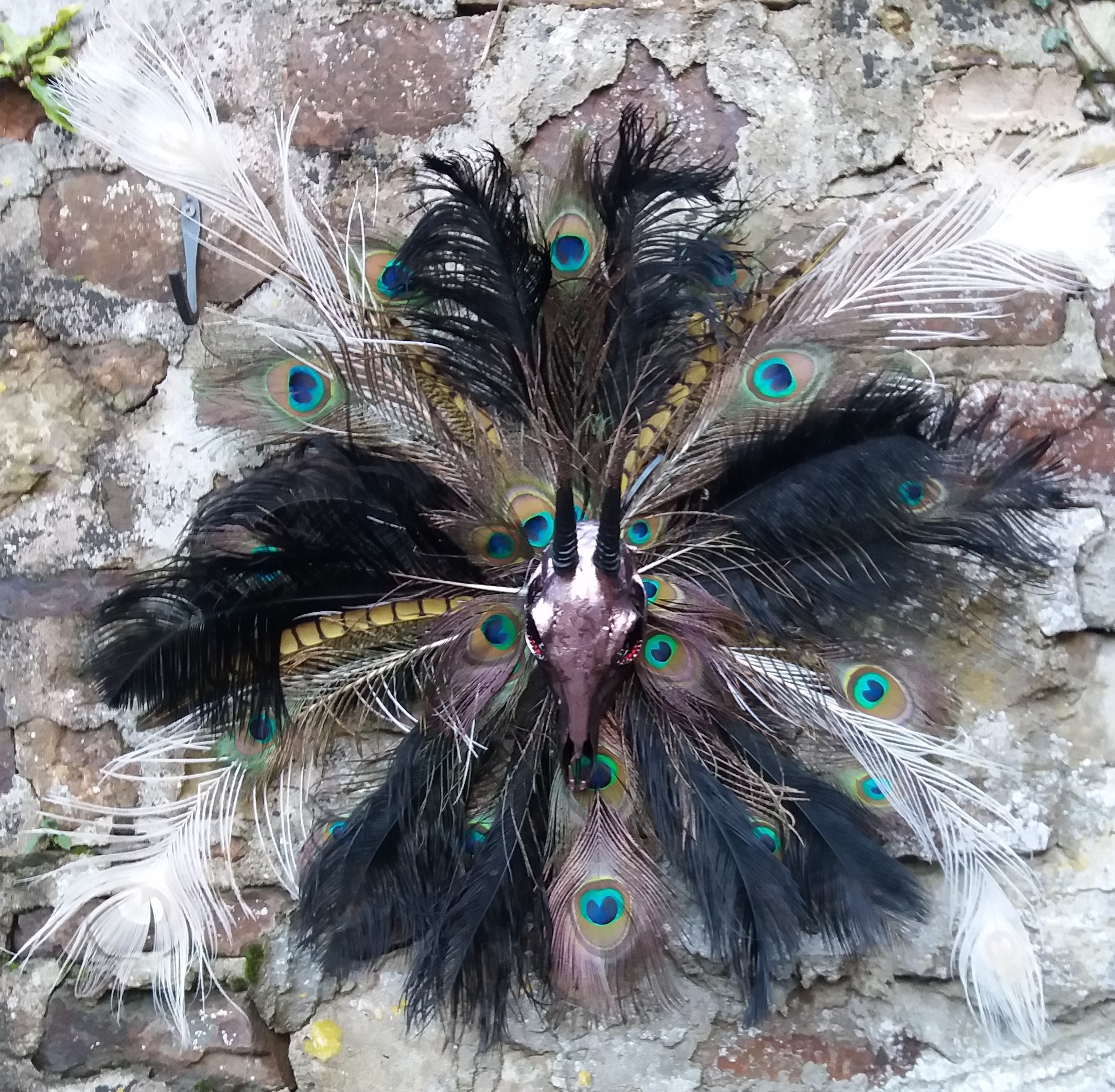 Scott Hendrie | Rainbow warrior is a Grey Duiker skull art sculpture. The skull has Japanese - Image 3 of 4