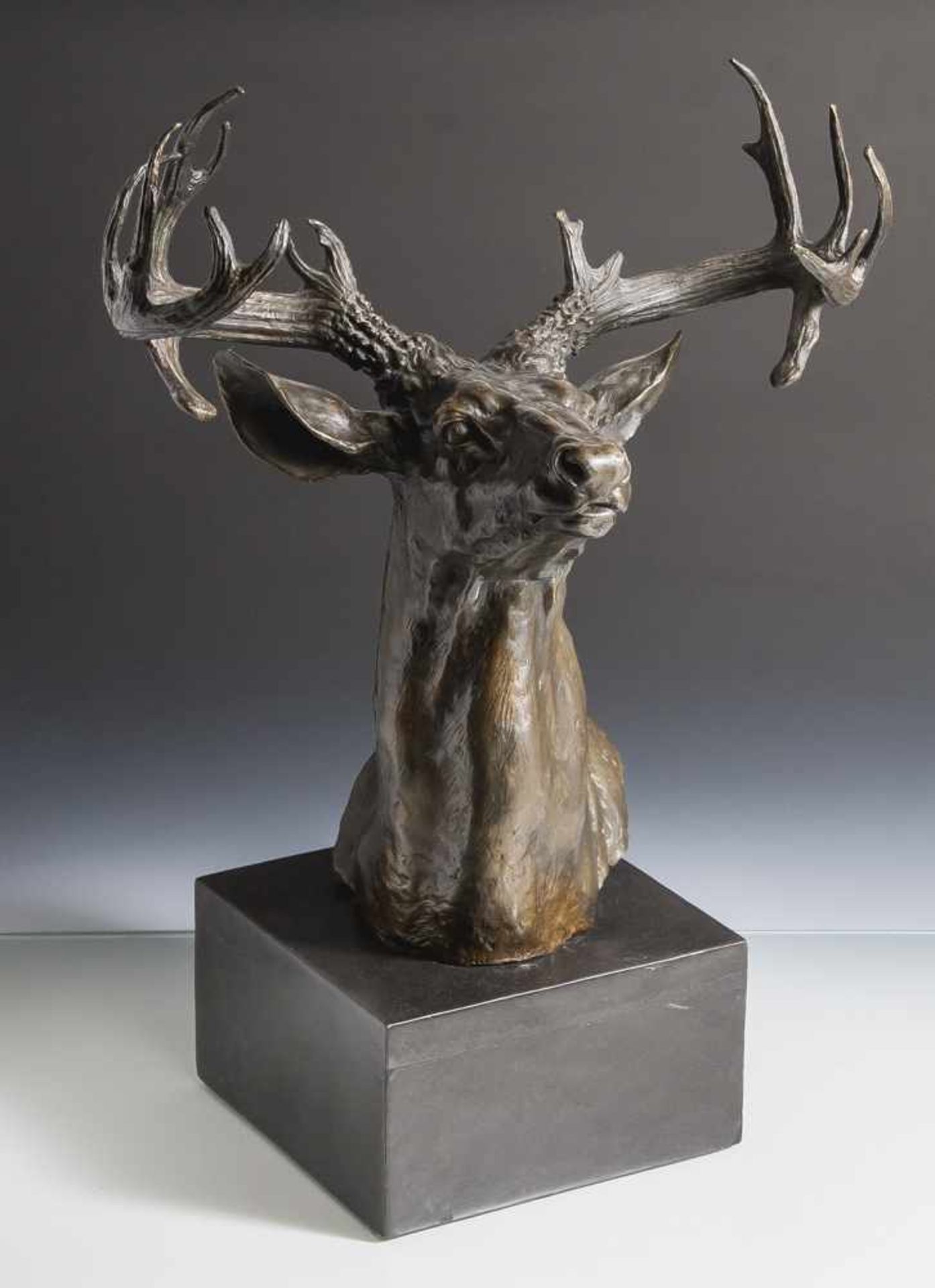 Masier, C. A. (ca- 1847-1923), "Testa di cervo", Hirschkopf, Bronze, am Hals sign. "Masier",