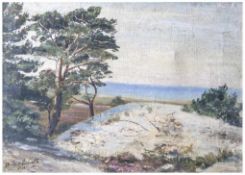 Wohl Sinnelli, Bruno (19./20. Jahrhundert), Danziger Landschaft, Öl/Lw, li. u. sign., rs. bez. "