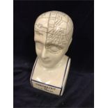 A Large Phrenology Head