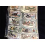 Three collectors albums of original cigarette cards