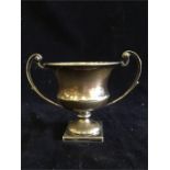 A large silver cup