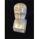 A Large Phrenology Head