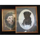 Two paintings of a Labrador and a Retriever