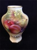 A Royal Worcester vase signed Moseley.