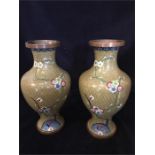 A Pair of Cloisonné Vases