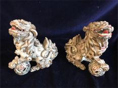 A Pair of Foo Dogs