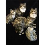 A selection of Winstanly Cats, all signed