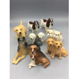 A selection of Beswick Dogs