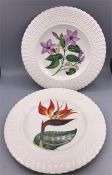 A selection of six collectors plates