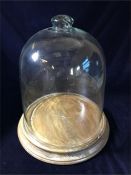 A Glass bell dome on a wooden base