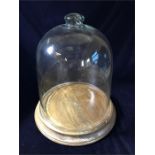 A Glass bell dome on a wooden base