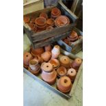 A large selection of plant pots, including many Victorian.