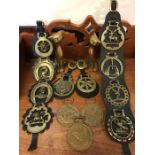 A selection of brass items, to include horse brasses and cats