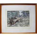 James W. Tucker A.R.C.A., F.R.S.A (1898 to 1972), THE FALLEN TREE, watercolour, framed, mounted
