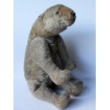 A Steiff Polar Bear, mohair with elongated head, black stitched nose and claws, boot button eyes,