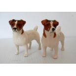 Two Beswick Jack Russell terriers, without damage or repair