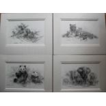 David Shepherd, A Portfolio of Pencil Drawings (2 pairs) Tigers / Pandas and Elephants / Cheetah