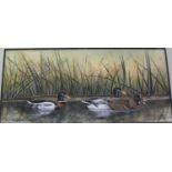 Daphne Lamb, STUDY OF DUCKS IN RIVER, watercolour, framed, mounted and signed bottom left, 11 x 24