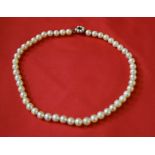 A cultured pearl necklace, to a gem-set yellow metal clasp,