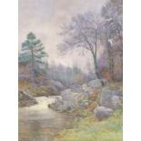 Norman Netherwood (1886-1958) - 'Forest River Scene' Watercolour, signed, approx.