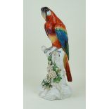 A large continental porcelain parrot possibly Dresden Painted in red, blue, green,