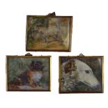 Three watercolour miniatures depicting dogs To include Jack Russell, hunting dog and shih tzu,