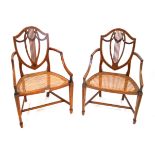 A pair of elegant late 19th Century Hepplewhite revival painted satinwood elbow chairs The shield