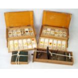 A large collection of assorted scientific glass slides Contained in two pine cases and cardboard