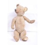 An early gold plush (worn) Teddy bear Lacking eyes with pointed snout and articulated limbs,