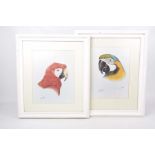 After Eric Peake "Study of a Macaw" Along with a companion a green, yellow and blue Macaw,