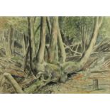 Attributed to Frank Runacres ARCA NEAC (British, 1904-1974) - 'Woodland' Watercolour,