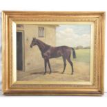 Alfred Charles Havell, (British 1855-1928), "Study of a Racehorse" Oil on canvas,