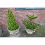 A pair of reconstituted stone planters Each of classical form,