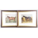 A matched pair of 19th Century equestrian studies Comprising oil on canvas study 'Dorothy' and