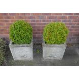 A pair of reconstituted stone square section planters Each of square classical form,