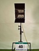 A BALANCROFT 1000W Light with Egg Box Diffuser and Gel Frame