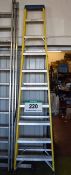 A ENGEX 10-Tread Fibreglass Step Ladder