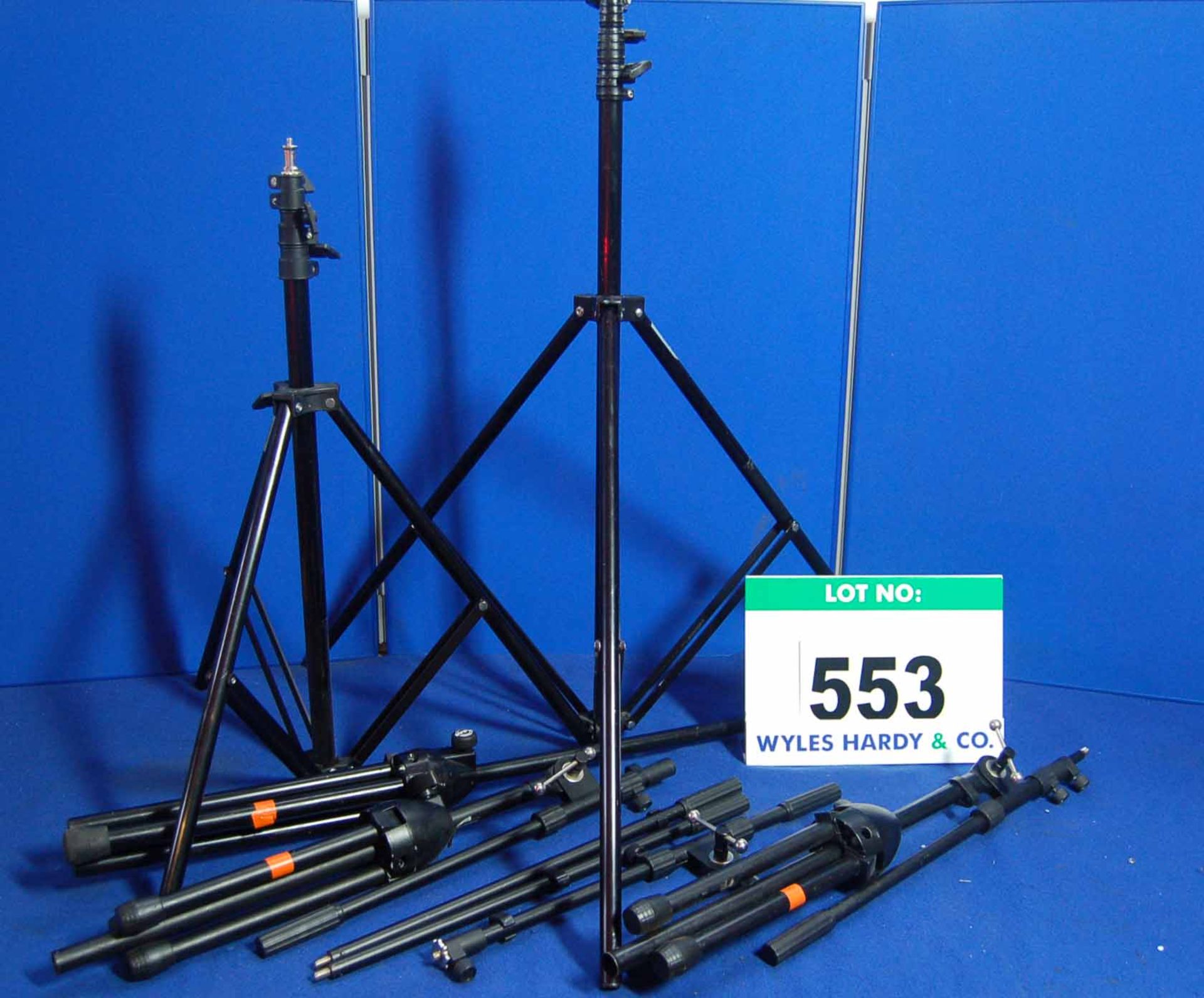 Two Light Stands & Three Microphone Stands in Carry Case