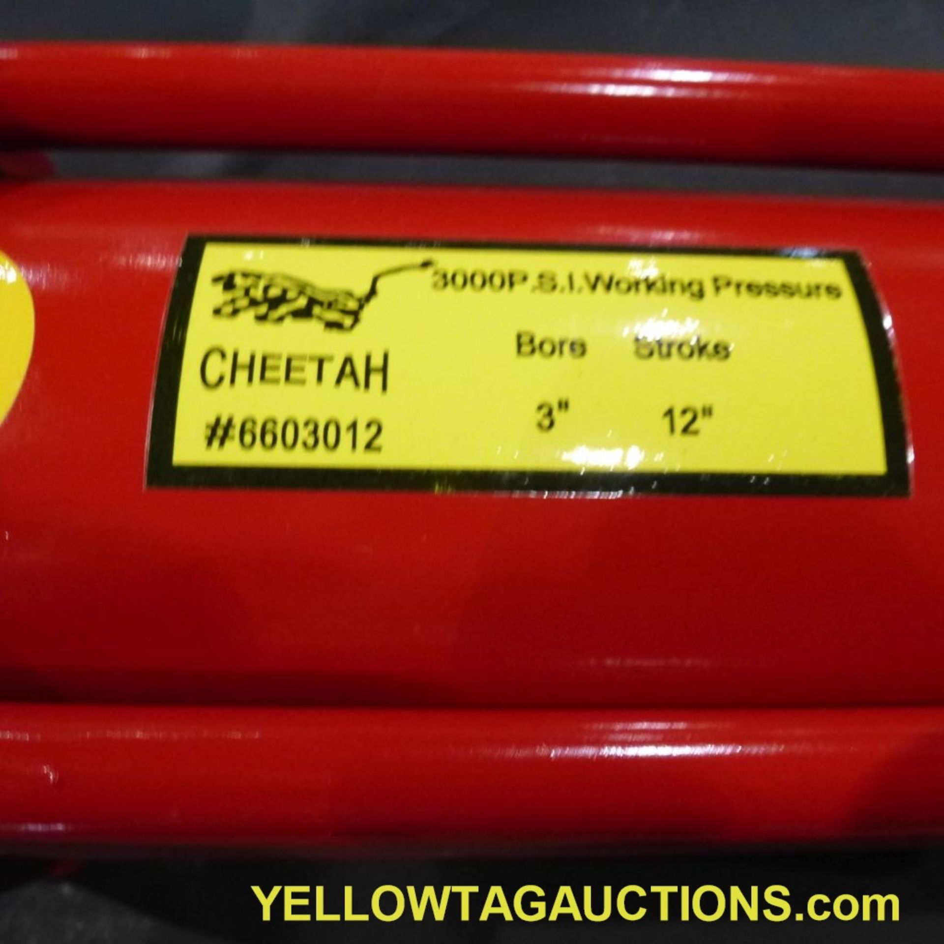 Lot of (28) Cheetah Hydraulic Cylinders|3,000 PSI; 3" x 12"|Tag: 247 - Image 9 of 14