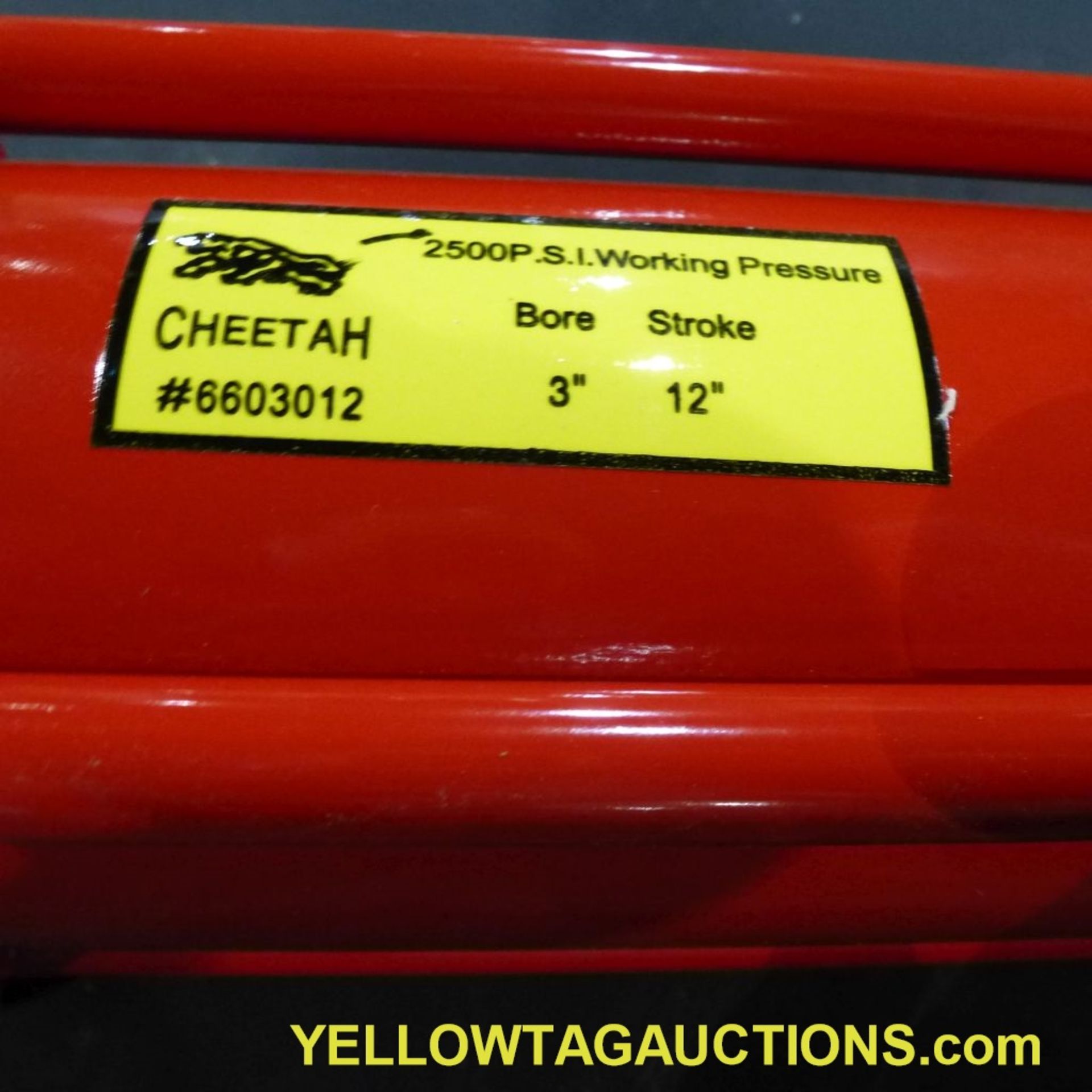 Lot of (18) Cheetah Hydraulic Cylinders|2,500 PSI; 3" x 12"|Tag: 238 - Image 9 of 22