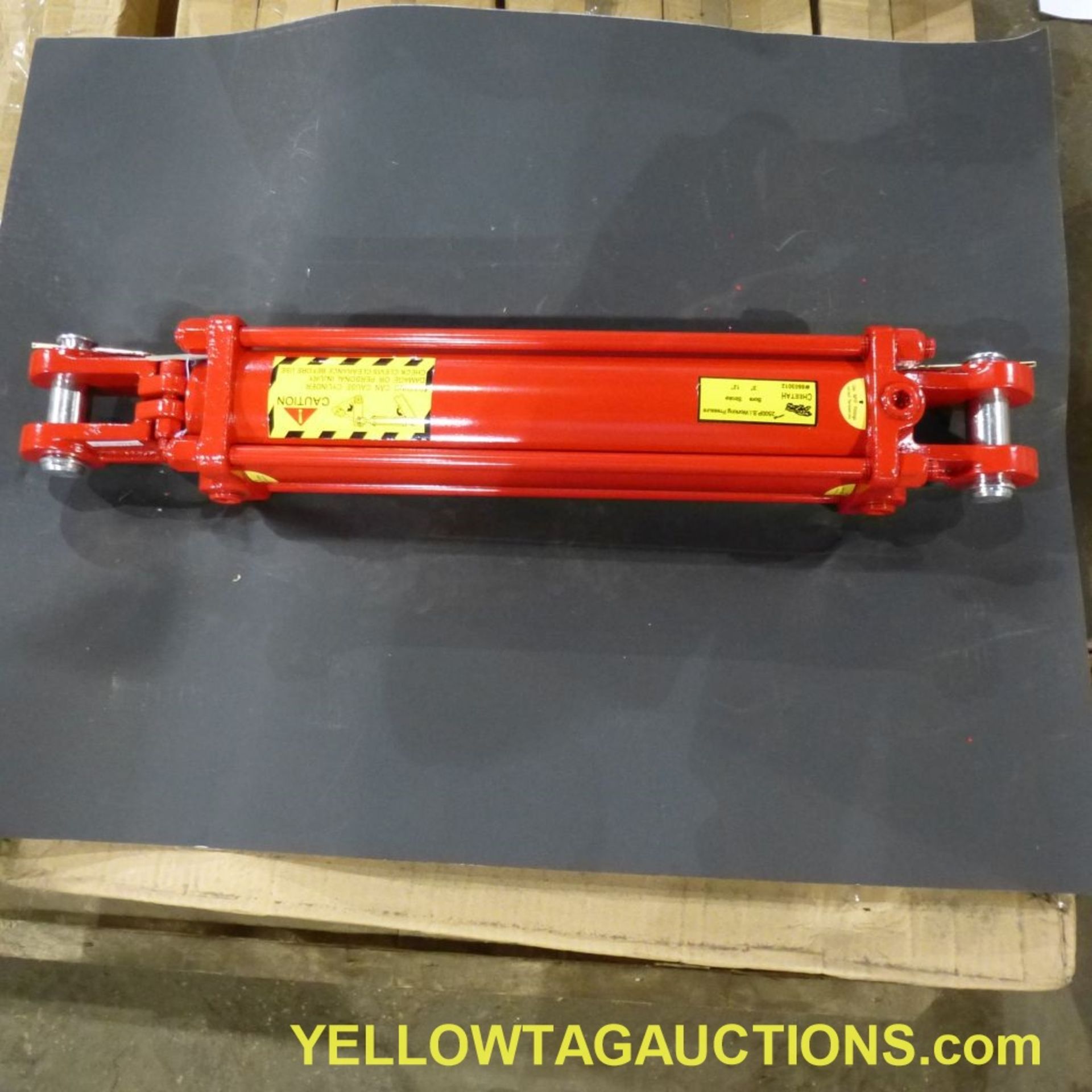 Lot of (18) Cheetah Hydraulic Cylinders|2,500 PSI; 3" x 12"|Tag: 238 - Image 2 of 22